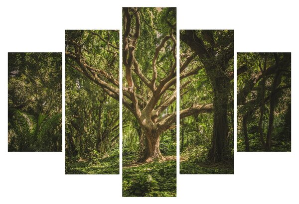 Slika stabla (150x105 cm)