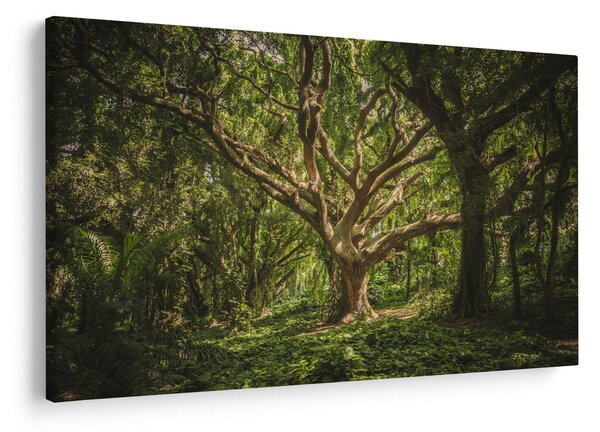 Slika stabla (90x60 cm)