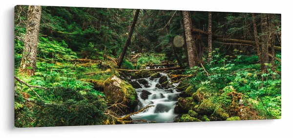Slika potoka u šumi (120x50 cm)