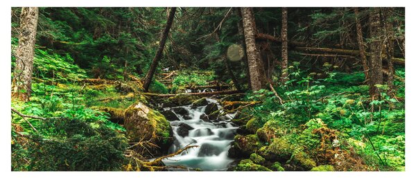 Slika potoka u šumi (120x50 cm)