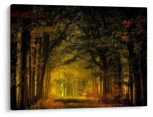 Slika šume (70x50 cm)