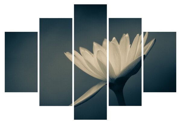 Slika cvijeta (150x105 cm)