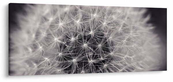 Slika maslačka (120x50 cm)