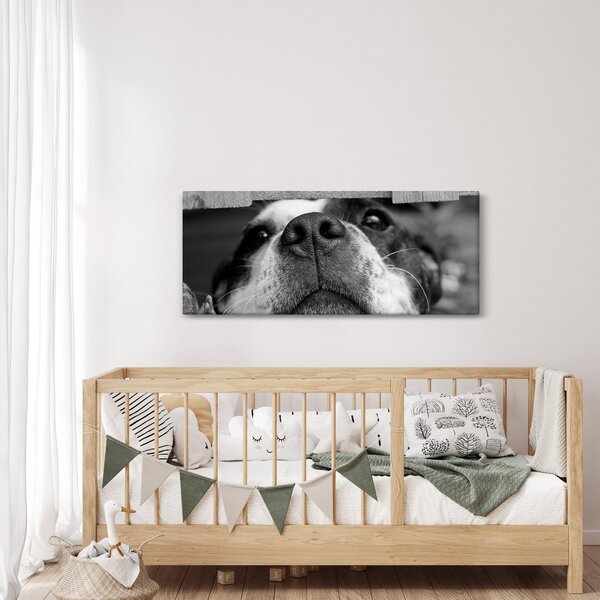 Slika psa (120x50 cm)