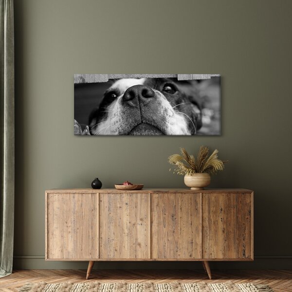 Slika psa (120x50 cm)