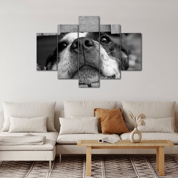 Slika psa (150x105 cm)