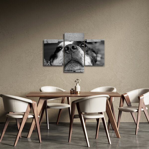 Slika psa (90x60 cm)