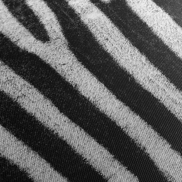 Slika kože zebre (90x60 cm)