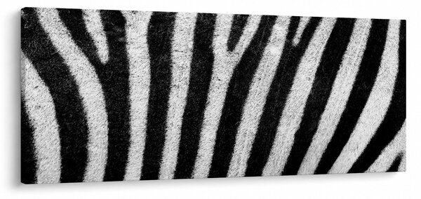 Slika kože zebre (120x50 cm)
