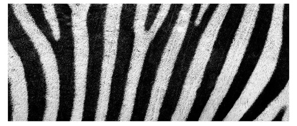 Slika kože zebre (120x50 cm)