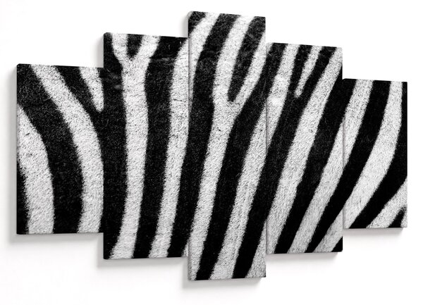 Slika kože zebre (150x105 cm)