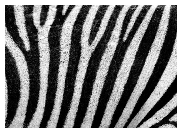 Slika kože zebre (70x50 cm)