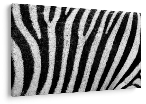 Slika kože zebre (90x60 cm)