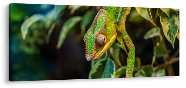 Slika kameleona (120x50 cm)