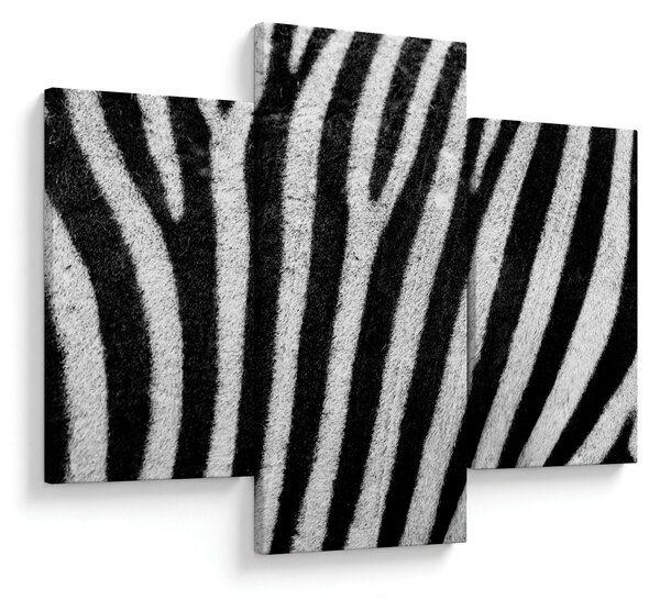 Slika kože zebre (90x60 cm)