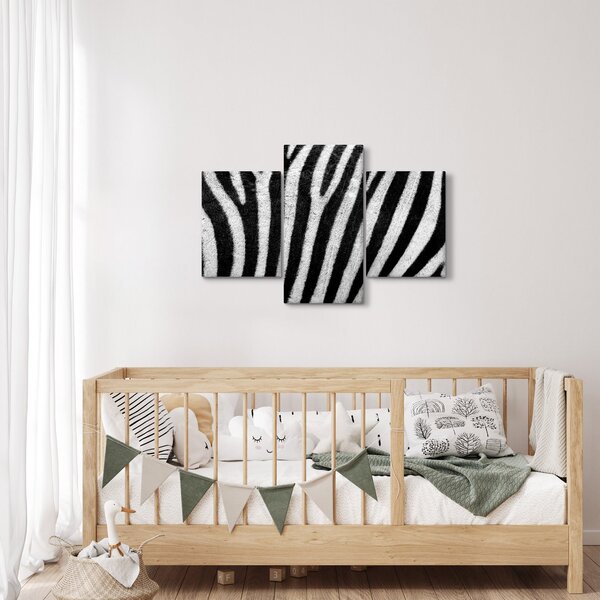 Slika kože zebre (90x60 cm)