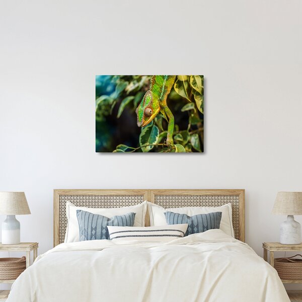 Slika kameleona (70x50 cm)