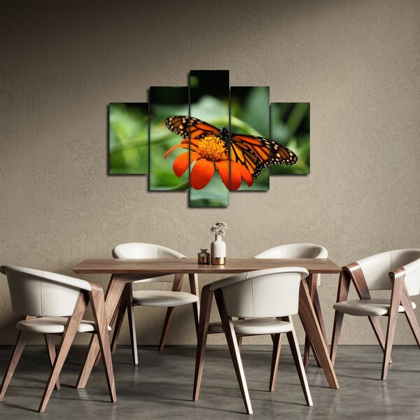 Slika leptira na cvijetu (150x105 cm)