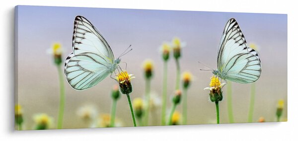 Slika leptira na cvijetu (120x50 cm)