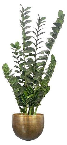 Umjetna zamija 110 cm (Zamioculcas) - 51 - 70 cm