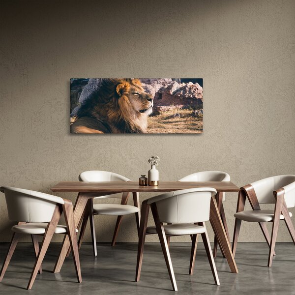 Slika ležećeg lava (120x50 cm)