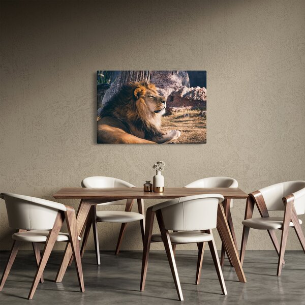 Slika ležećeg lava (90x60 cm)