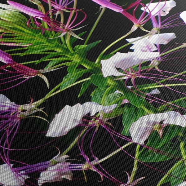 Slika cvijeta (90x60 cm)