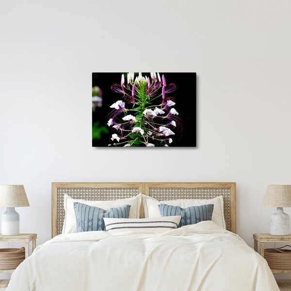 Slika cvijeta (70x50 cm)