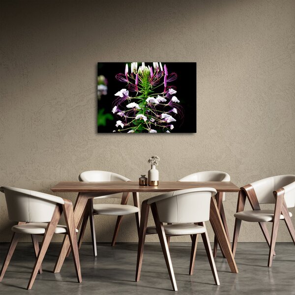Slika cvijeta (70x50 cm)
