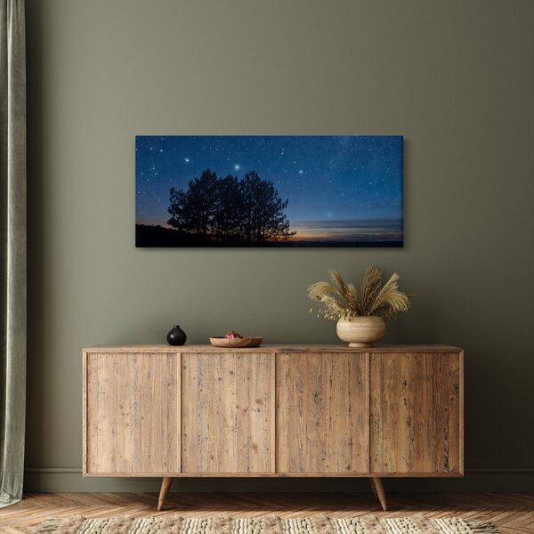 Slika drveća noću (120x50 cm)