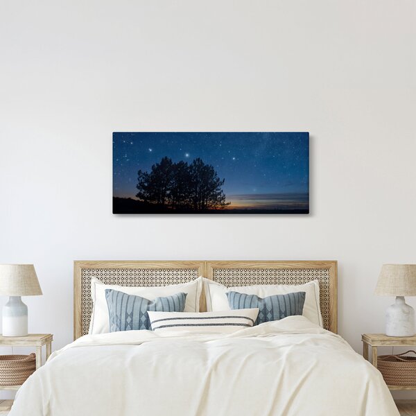 Slika drveća noću (120x50 cm)