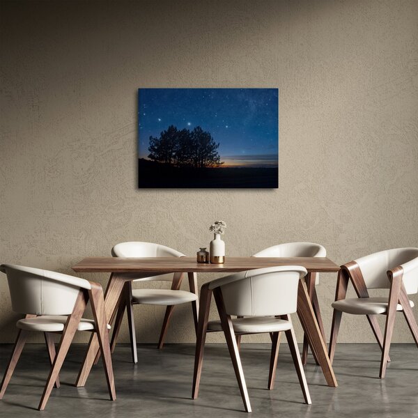 Slika drveća noću (70x50 cm)
