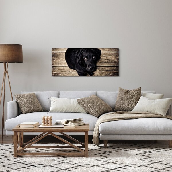Slika crnog psića (120x50 cm)