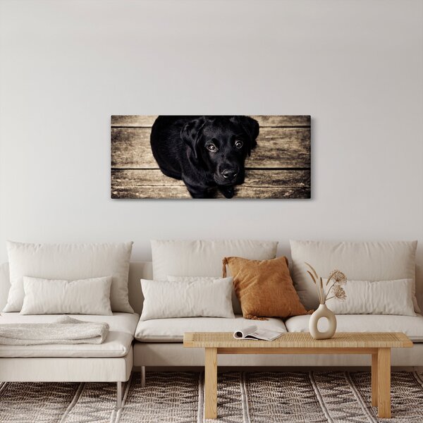 Slika crnog psića (120x50 cm)