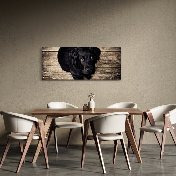 Slika crnog psića (120x50 cm)