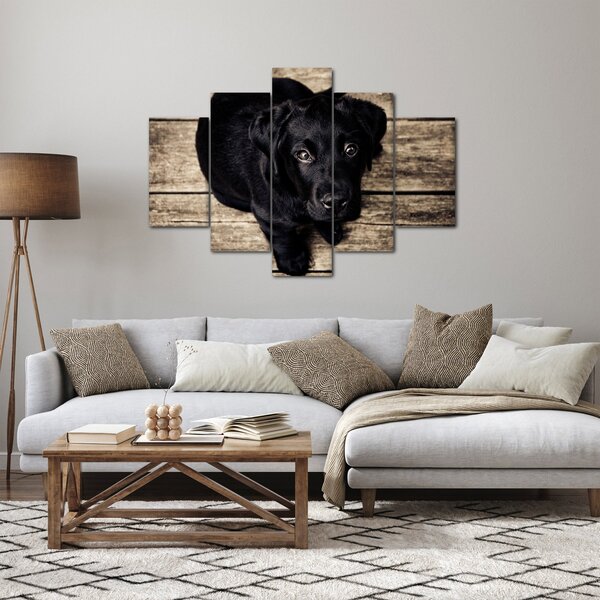 Slika crnog psića (150x105 cm)