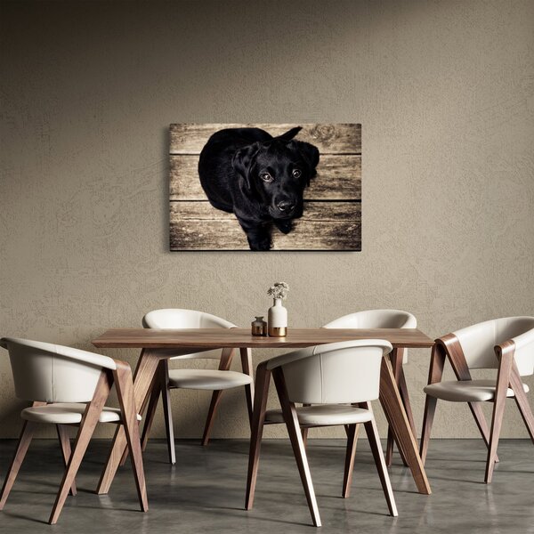 Slika crnog psića (90x60 cm)