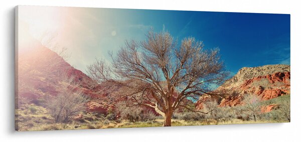 Slika stabla u pustinji (120x50 cm)