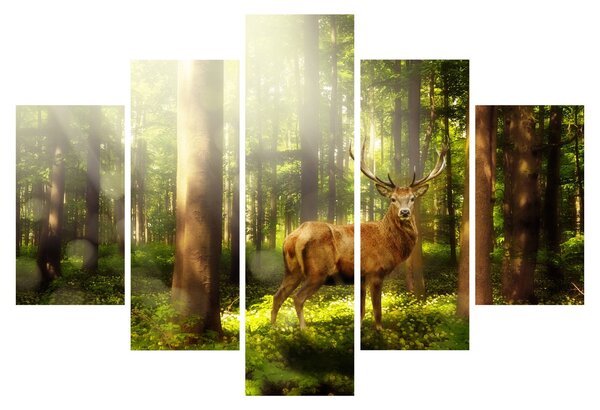 Slika jelena u šumi (150x105 cm)