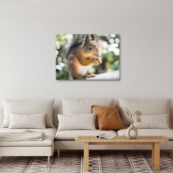 Slika vjeverice (70x50 cm)