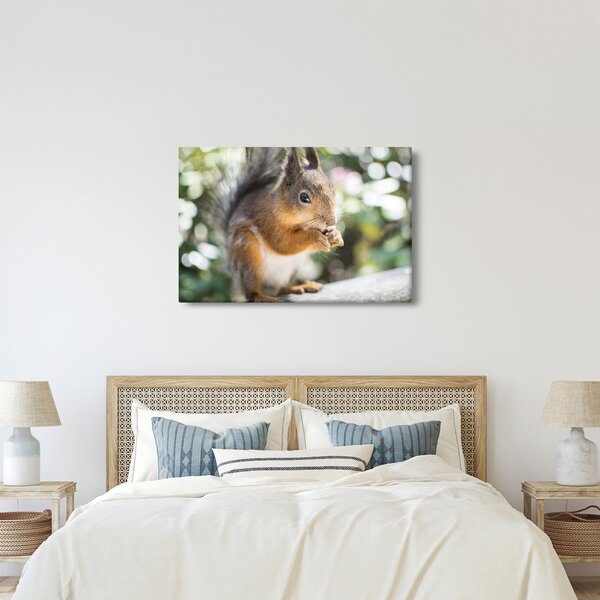 Slika vjeverice (90x60 cm)