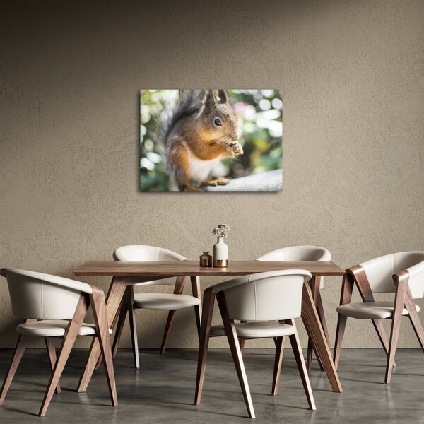 Slika vjeverice (70x50 cm)