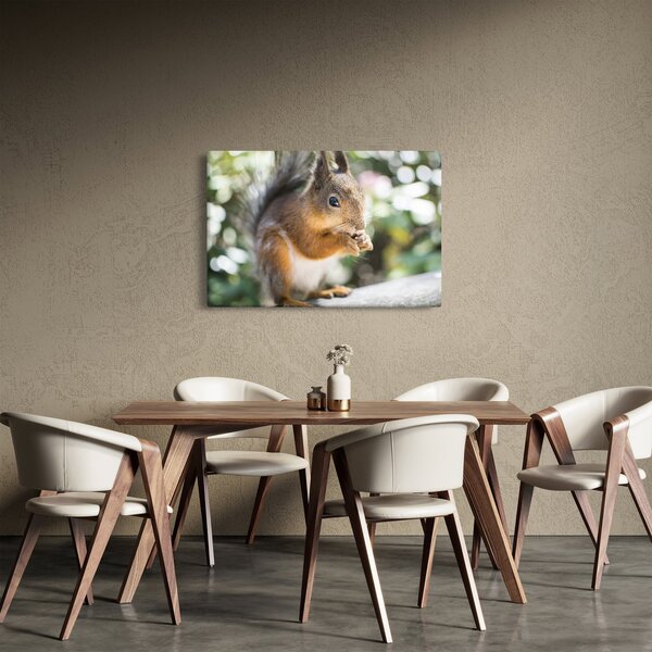 Slika vjeverice (90x60 cm)