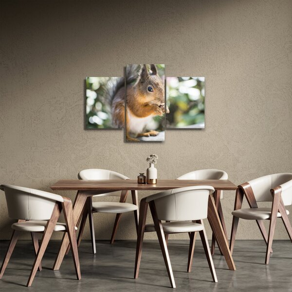 Slika vjeverice (90x60 cm)