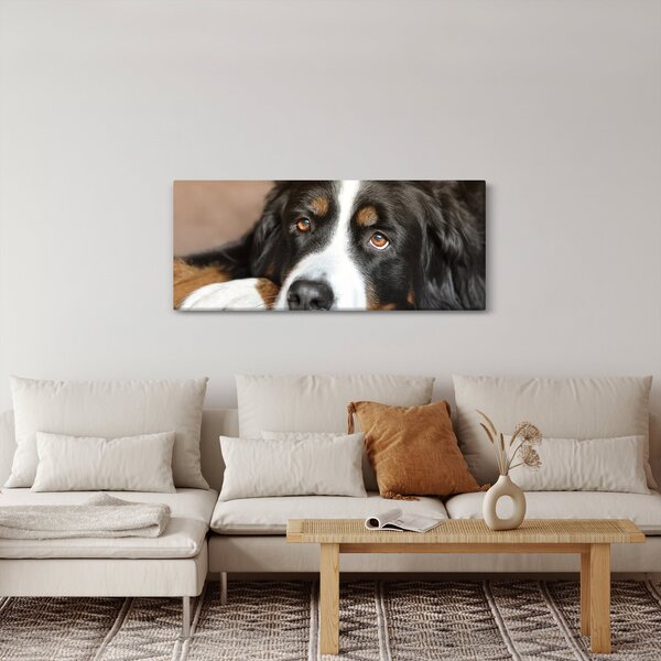 Slika psa (120x50 cm)