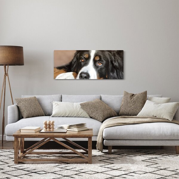 Slika psa (120x50 cm)