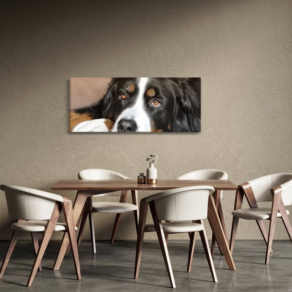 Slika psa (120x50 cm)