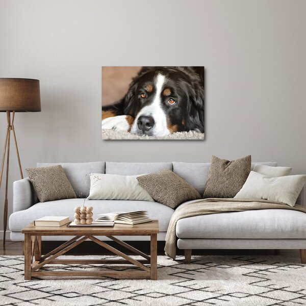 Slika psa (70x50 cm)