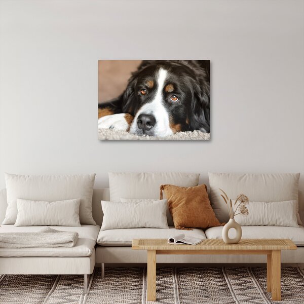 Slika psa (70x50 cm)