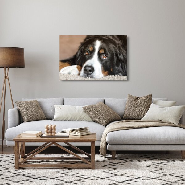 Slika psa (90x60 cm)